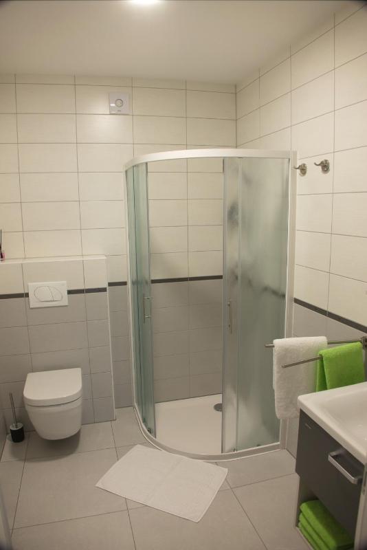 One-Bedroom Apartment image 2