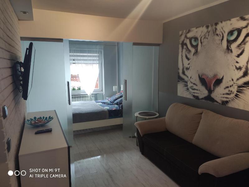 Apartament Tygrys - image 8