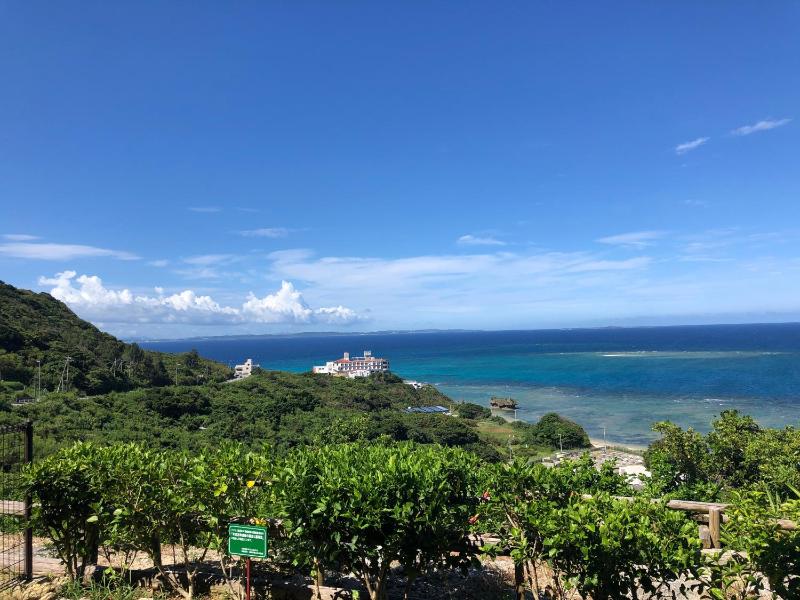 Azama Ocean View Terrace - image 33