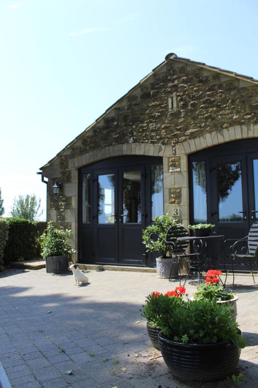 One-Bedroom Apartment image 1