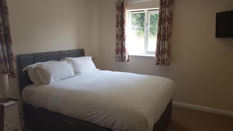 Deluxe Double Room image 4