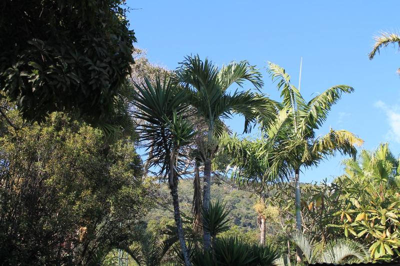 Costa Verde Inn - image 12