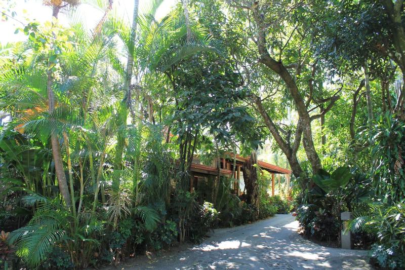 Costa Verde Inn - image 6
