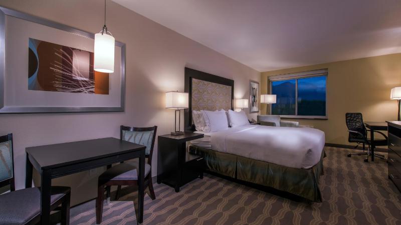 Holiday Inn Express & Suites Colorado Springs Central By IHG - image 43