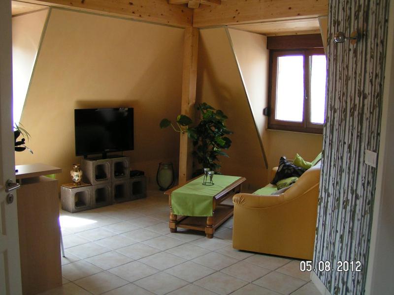 One-Bedroom Apartment image 4