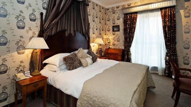 Room #22120109 image 1