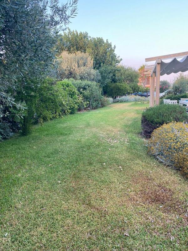 Villa Garden - image 12