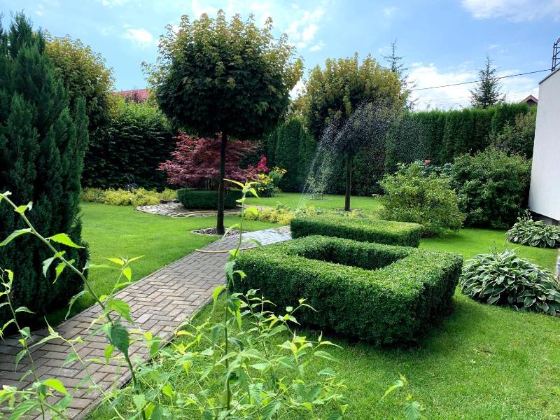 Casa Petri - image 2