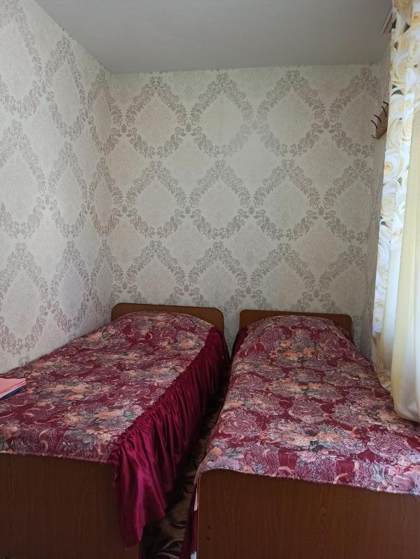 Budget Twin Room image 3