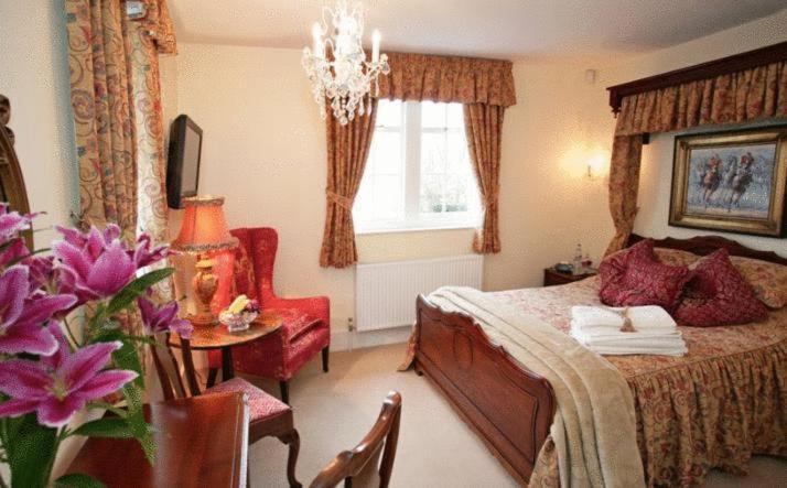 Deluxe King Room image 1