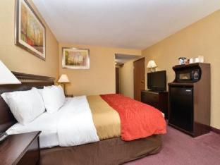 Room #49133108 image 3