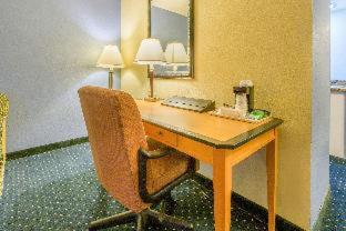 Room #32230029 image 4