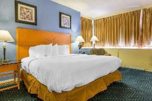 Room #32230031 image 2
