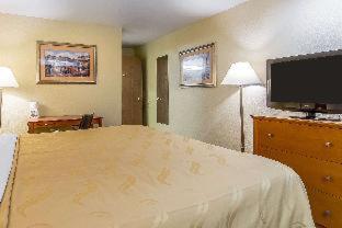 Room #48914106 image 3