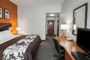 Room #48945904 image 3