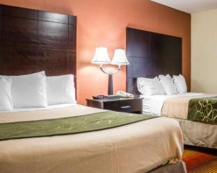 2 Double Beds, Smoking image 4