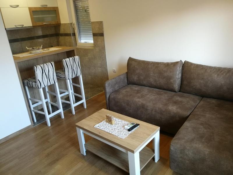 Superior Apartment image 3