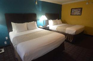 Room #7862919 image 3