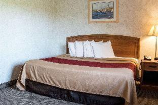 Room #36486110 image 3