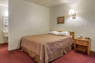 Room #52148416 image 3
