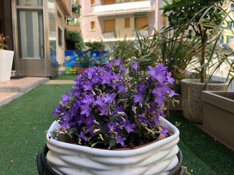 Casa Vacanze Isophylla - image 4