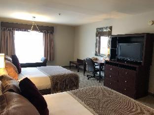 Room #50483903 image 2
