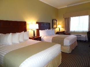 Room #104460610 image 3