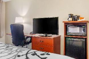 Room #49232703 image 3