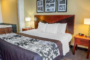 Room #49215307 image 4