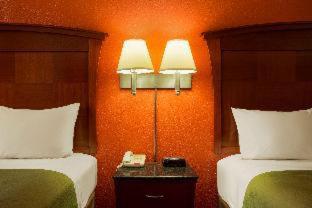Room #105486109 image 3