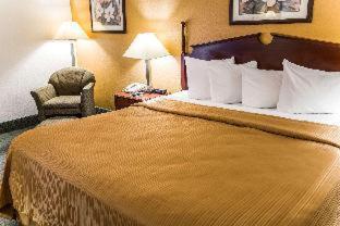 Room #26196510 image 3