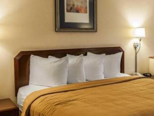 Room #26981308 image 3