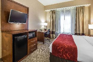 Room #48866106 image 2