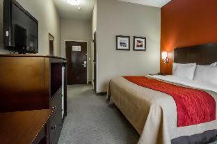 Room #4548506 image 3