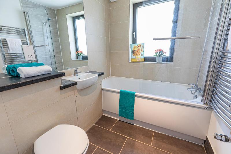 Three-Bedroom Apartment image 4