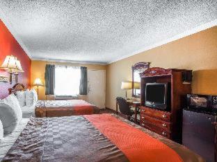 Room #2339108 image 3