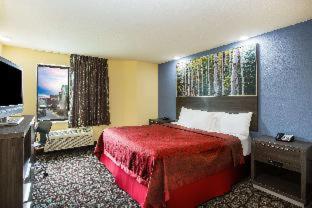 Room #17306723 image 3