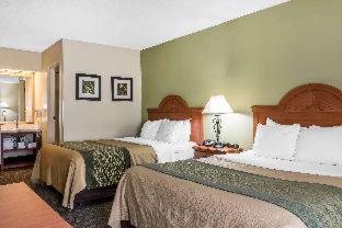 Room #49125006 image 2