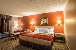 Room #49171907 image 2