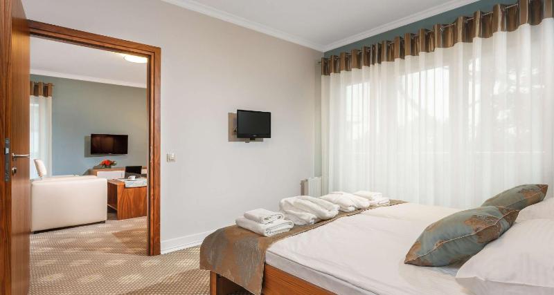 King Suite with Sofa Bed and Forest View image 3