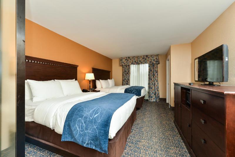 Queen Suite image 4