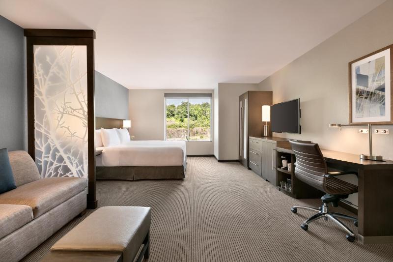 King Suite with Sofa Bed and Roll-In Shower - Disability Access image 1