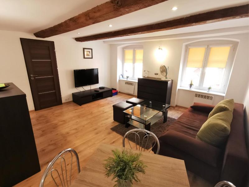 Apartament Pod Krzywą Wieżą Stare Miasto - zameldowanie 24 h - image 1