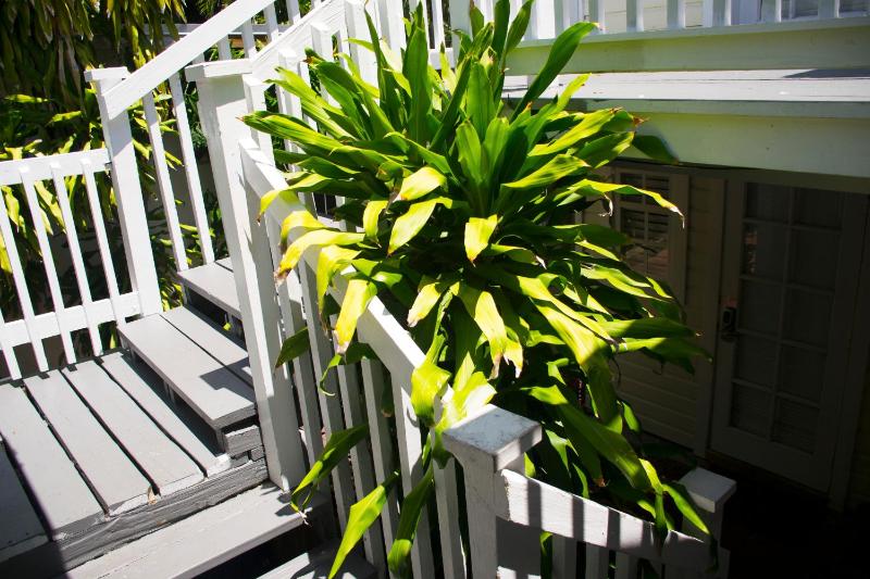 The Garden House - Adult Only - image 13
