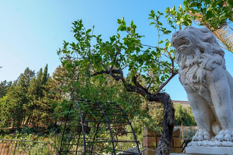 Villa Caterina - Solemar Sicilia - image 42