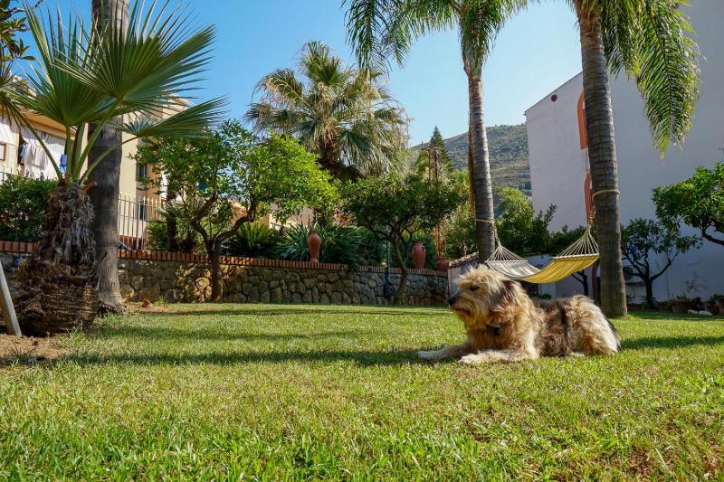 Villa Caterina - Solemar Sicilia - image 31