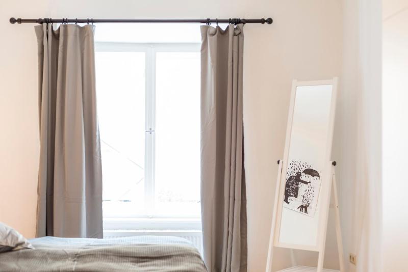 One-Bedroom Apartment image 4