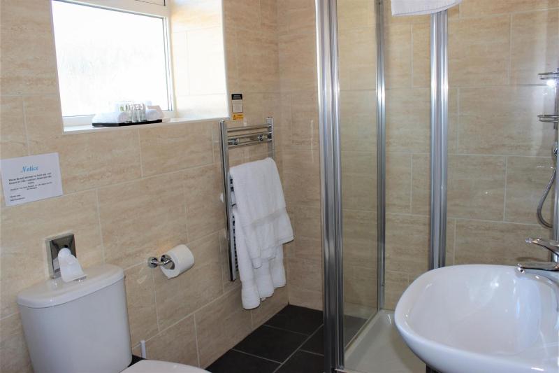 Deluxe King Room with Sauna image 3