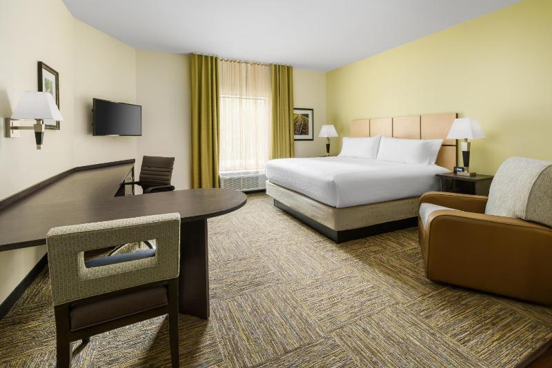 King Studio Suite image 3