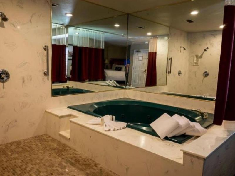 Luxury Suite with Spa Bath image 4